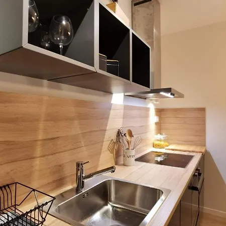 Ljupka - - With Private Free Parking アパート *